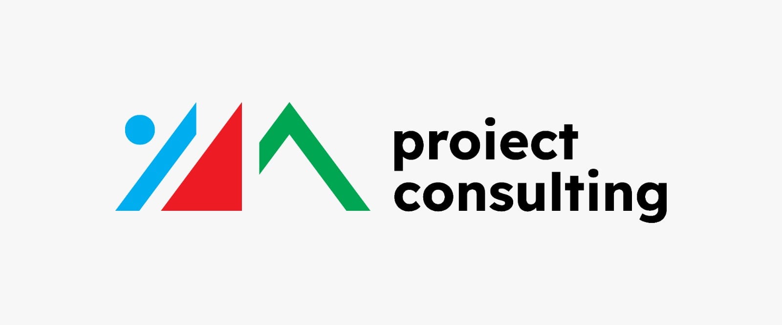 Proiect Consulting